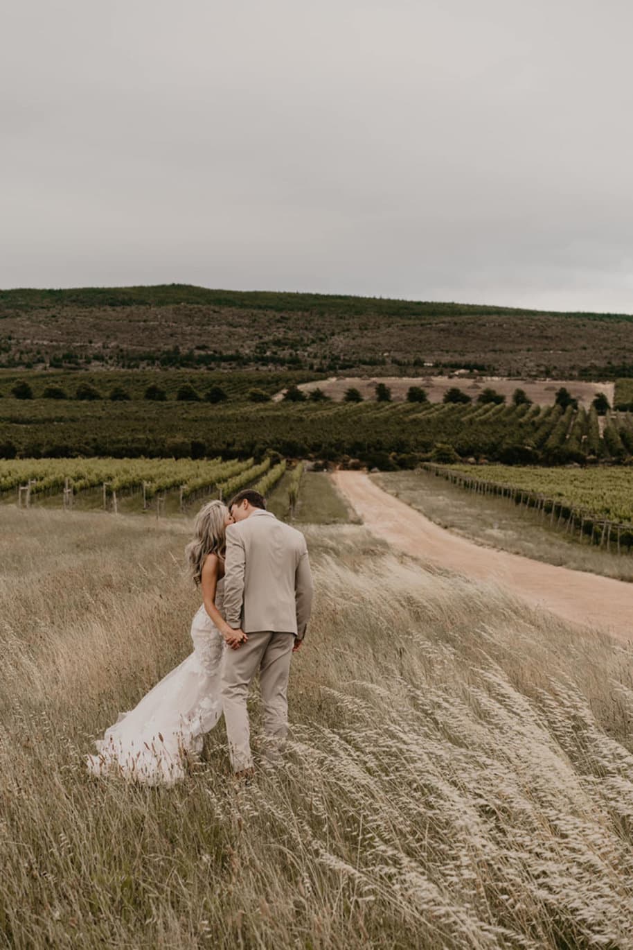 Image of South Hill Vineyards