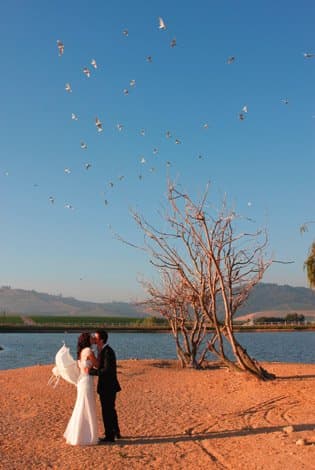 Image of Skilpadvlei Wine Farm